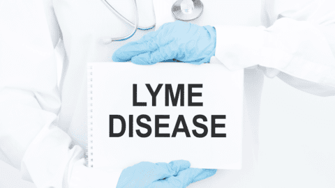 Stages of Lyme disease