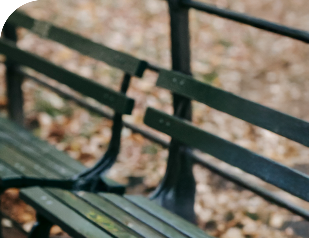 park bench with leaves on the floor behind